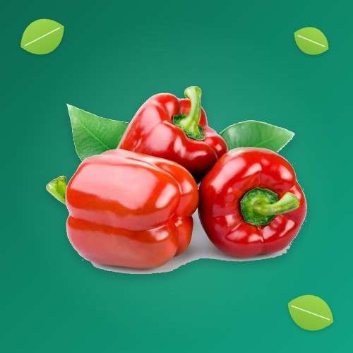بذر فلفل دلمه ای