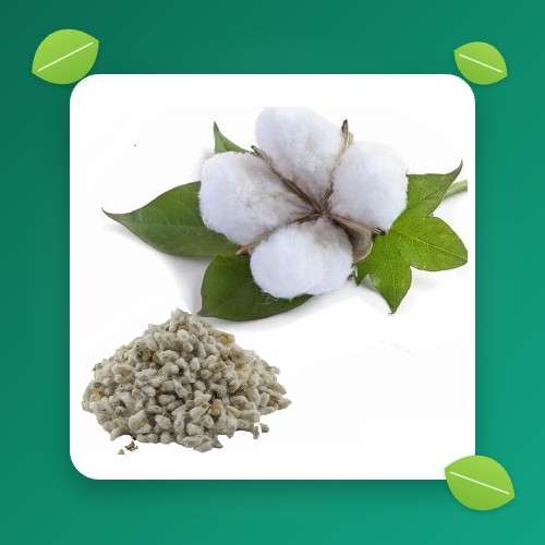 بذر زراعی
