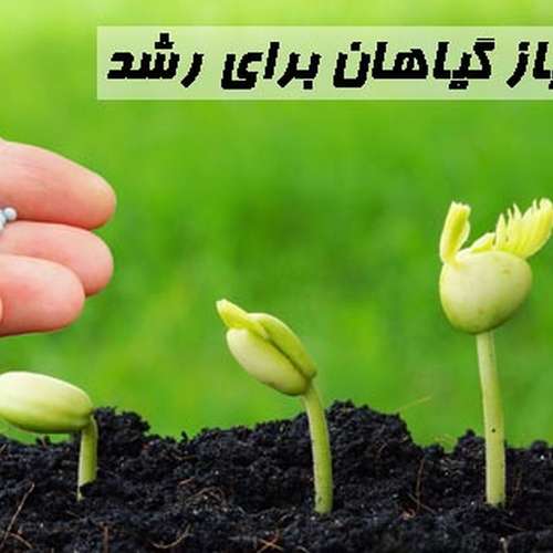 18 عنصر برای رشد عادی و کامل گیاهان