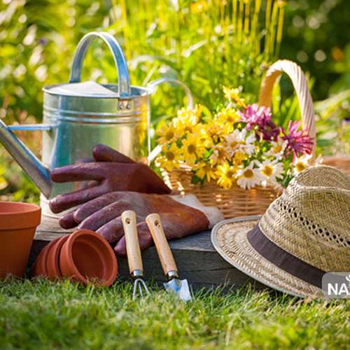 اصول باغبانی در فصل گرم تابستان