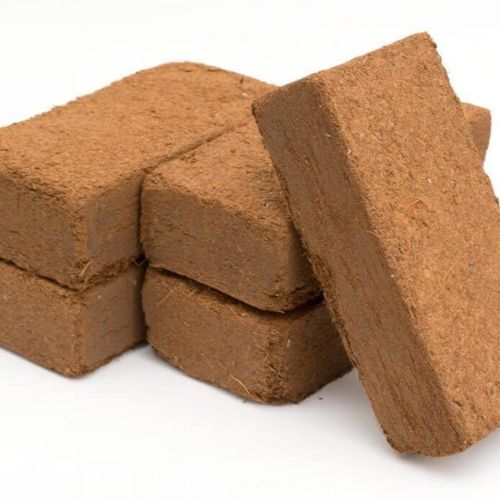 کوکوپیت بستری مناسب برای نهال