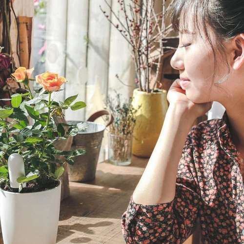 سنسور هوشمند شیائومی