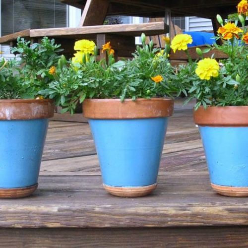 انواع گلدان و راهنمای خرید