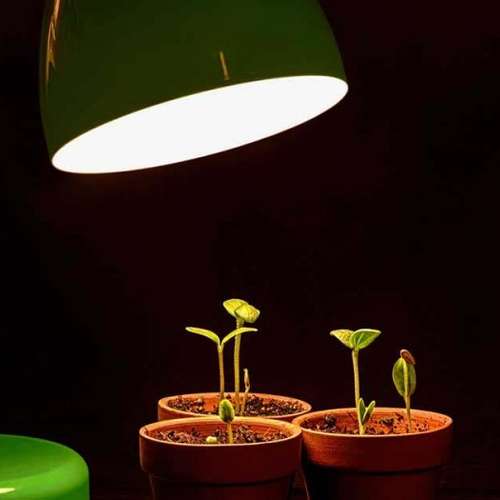 انواع نور مصنوعی برای رشد گیاهان