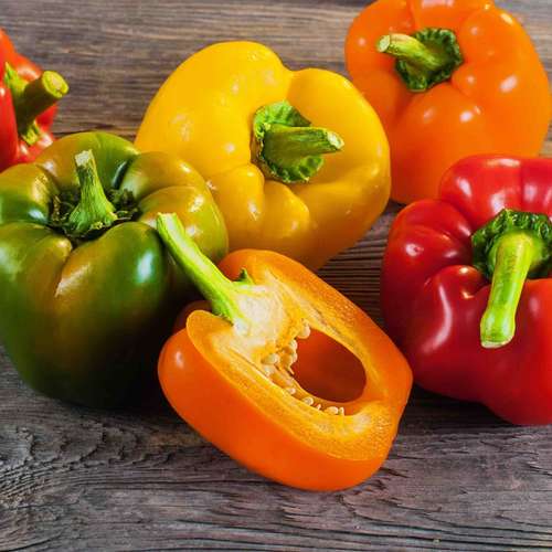 بذر فلفل دلمه هیبرید میکس