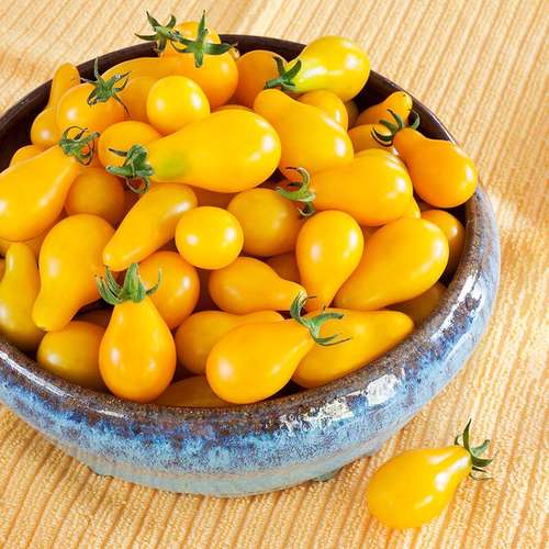 بذر گوجه فرنگی گلابی زرد یا گوجه لامپی