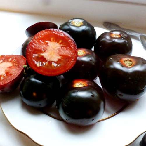 بذر گوجه گیلاسی مشکی یا گوجه بلک چری