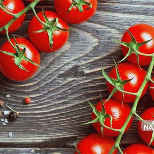 بذر گوجه گیلاسی قرمز واشنگتون