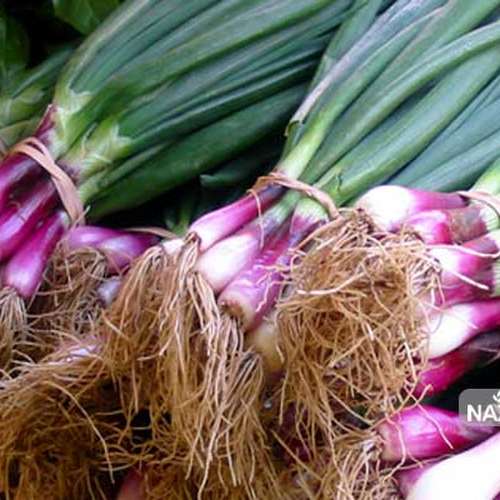 پکیج بذر سبزی خوردن