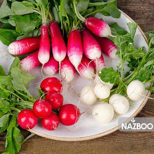 بذر تربچه دورنگ کشیده ( تربچه انگشتی )