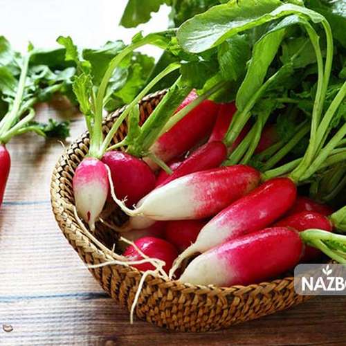 بذر تربچه دورنگ کشیده ( تربچه انگشتی )