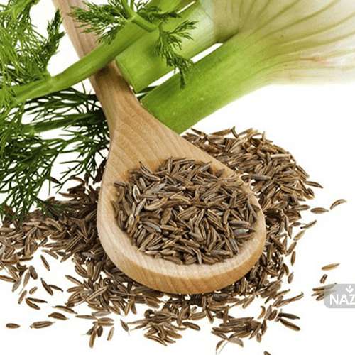 بذر گیاه دارویی رازیانه یا سبزی فنل