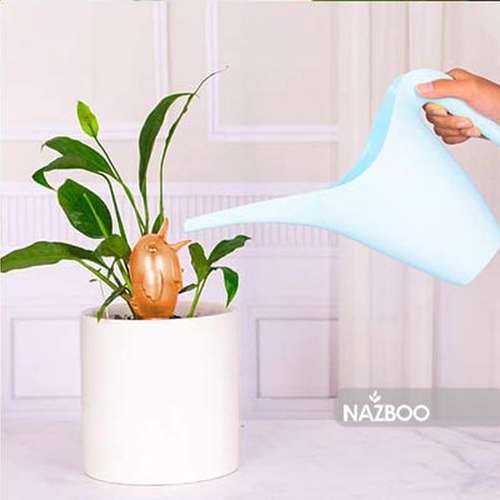 پرنده خودآبیار ( آبیاری خودکار )