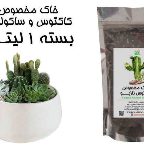 خاک مخصوص کاکتوس و ساکولنت