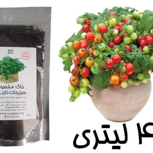 خاک مناسب سبزی کاری و صیفی جات نازبو