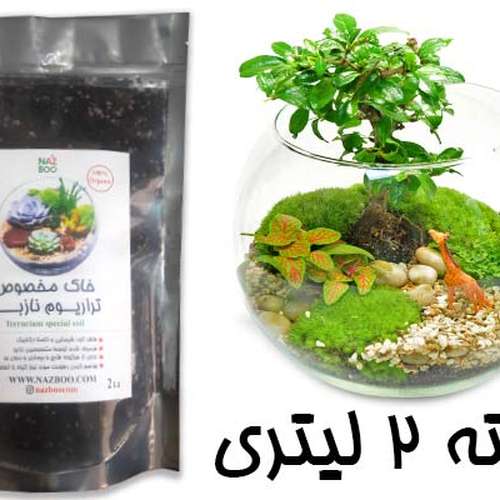 خاک مخصوص تراریوم ارگانیک نازبو