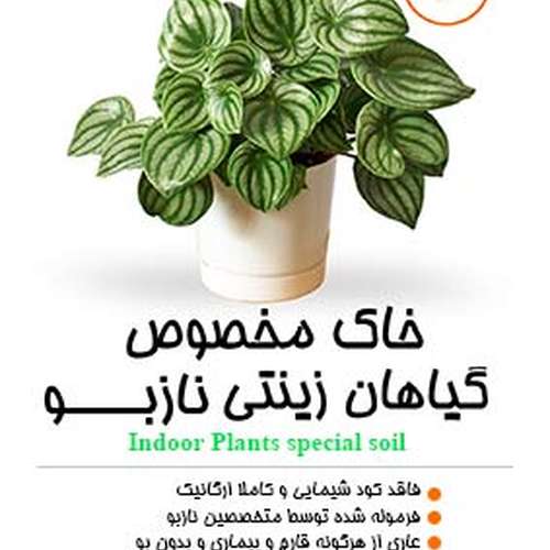 خاک مخصوص گیاهان آپارتمانی و زینتی نازبو