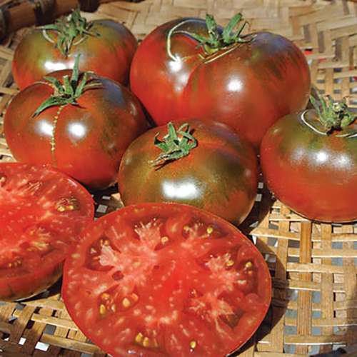 بذر گوجه فرنگی پل رابسون