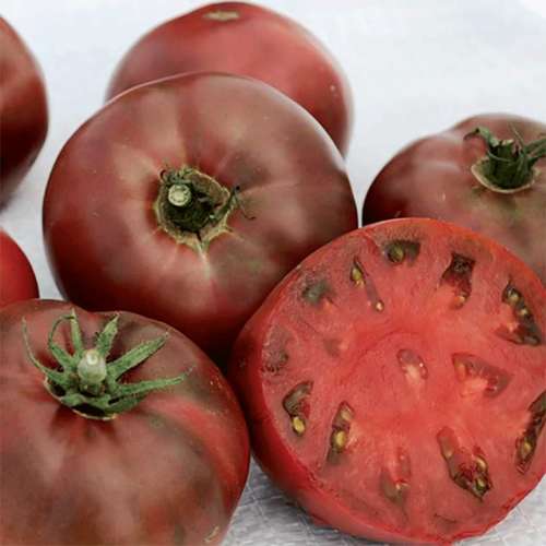 بذر گوجه فرنگی کربن