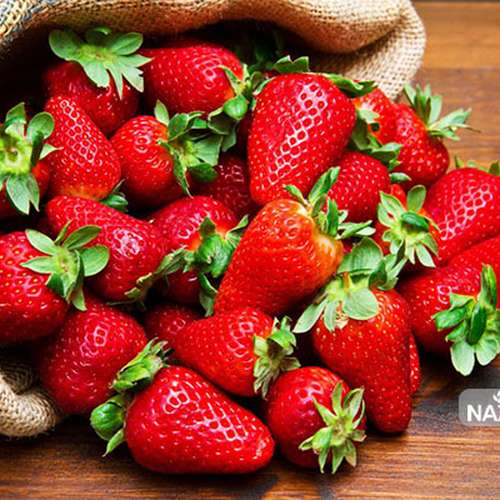 بذر توت فرنگی کاماروسا