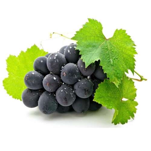 بذر انگور هوروز کاراشی غول Grape Horace karachi