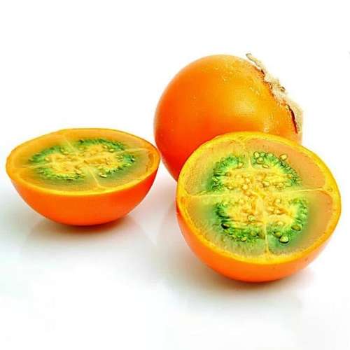 بذر میوه نارنجیلا