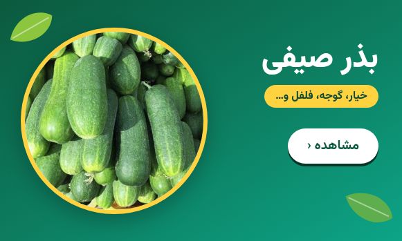 خرید بذر صیفی جات