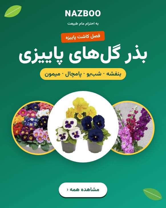خرید بذر گل‌های پاییزی