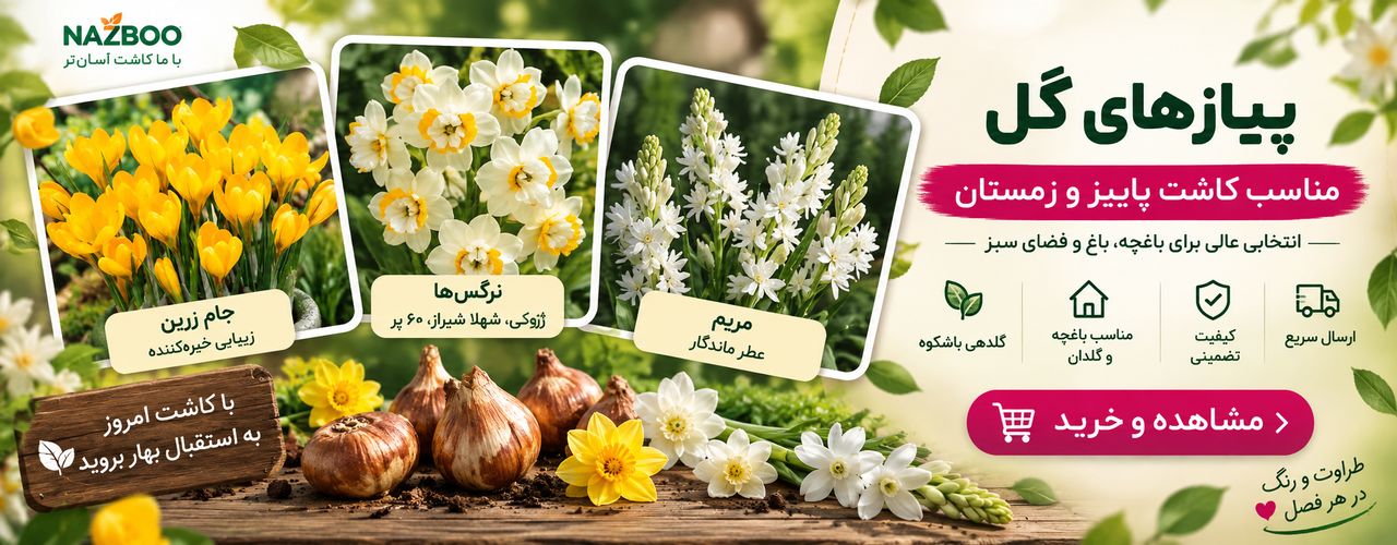  خرید پیاز انواع گل