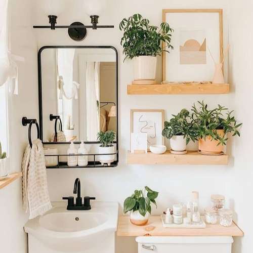 سرویس بهداشتی و حمام خانه خود را با این گیاهان تزئین کنید