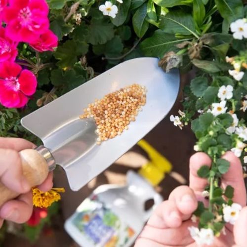 بررسی کودهای مخصوص گیاهان گلدار آپارتمانی