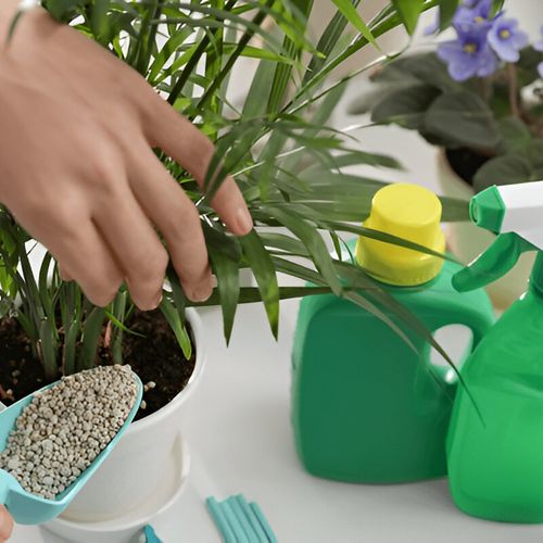 بررسی کودهای مخصوص گیاهان آپارتمانی حساس