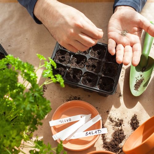 راهنمای کامل خواب شکنی و خواب بذر برای کشاورزان