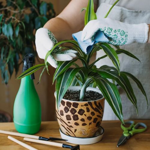 چگونه از مشکلات کوددهی در خاک فقیر جلوگیری کنیم؟