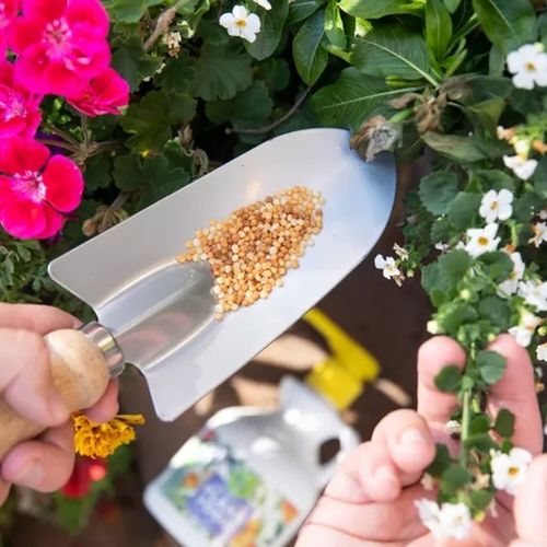 چرا گیاهان گلدار آپارتمانی پس از کوددهی دچار مشکل می‌شوند؟