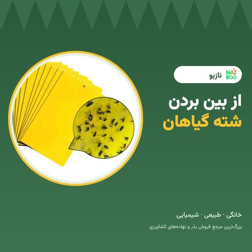 از بین بردن شته؛ روش‌های خانگی، طبیعی و شیمیایی