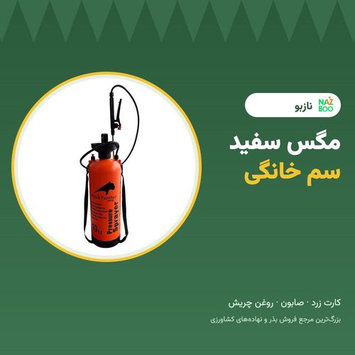 مگس سفید؛ سم خانگی و روش‌های از بین بردن آن