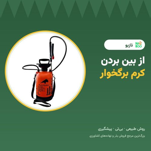 از بین بردن کرم برگخوار و کرم سبزیجات به روش طبیعی