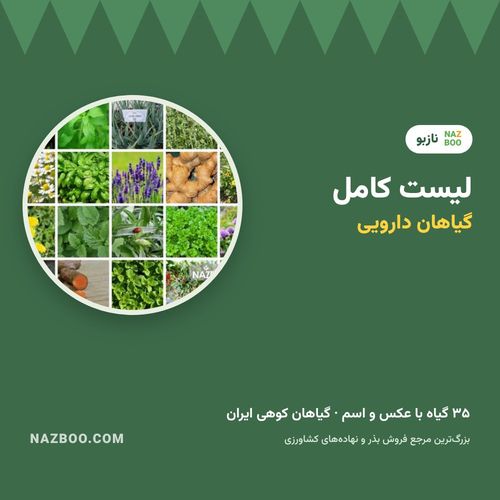 لیست کامل گیاهان دارویی با عکس؛ ۳۵ گیاه دارویی و خواص آن‌ها