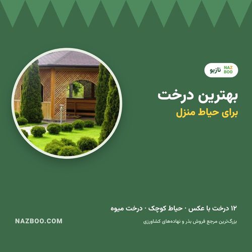 بهترین درخت برای حیاط منزل؛ ۱۲ درخت مناسب حیاط کوچک و ویلا با عکس