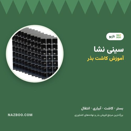 کاشت بذر در سینی نشا؛ آموزش قدم به قدم از کاشت تا انتقال نشا