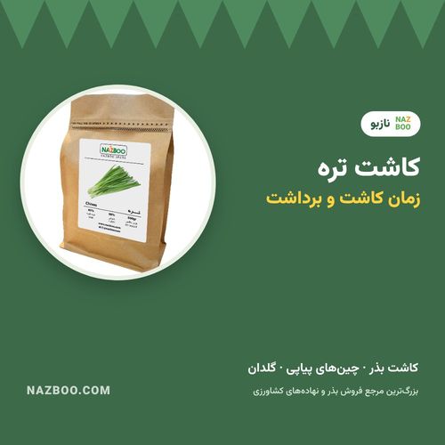 کاشت تره؛ زمان کاشت، روش کاشت بذر تره و برداشت چندباره