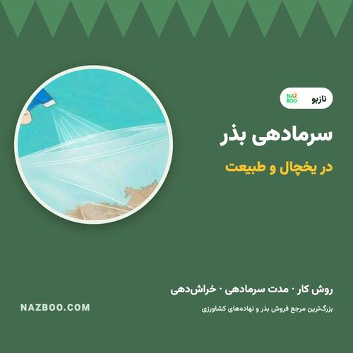 سرمادهی بذر؛ آموزش سرمادهی بذر درختان و گیاهان در یخچال و طبیعت
