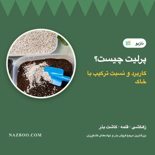 پرلیت چیست؟ کاربرد پرلیت کشاورزی، نسبت ترکیب با خاک و کوکوپیت