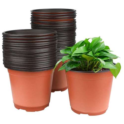 گلدان ژله ای سایز 12 بسته 5 عددی