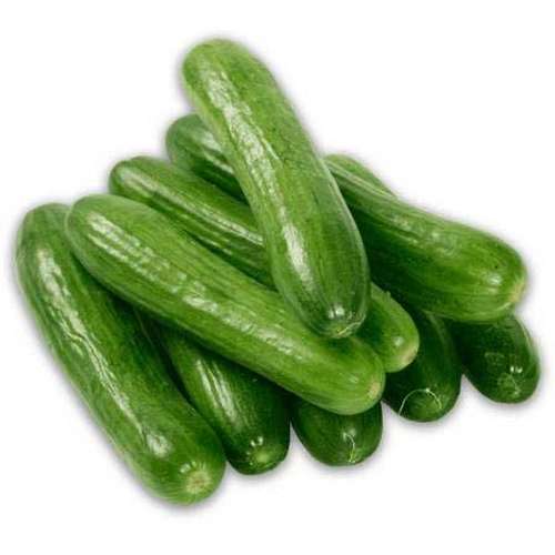 بذر خیار گلخانه ای هیبرید F1