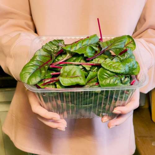 red spinach