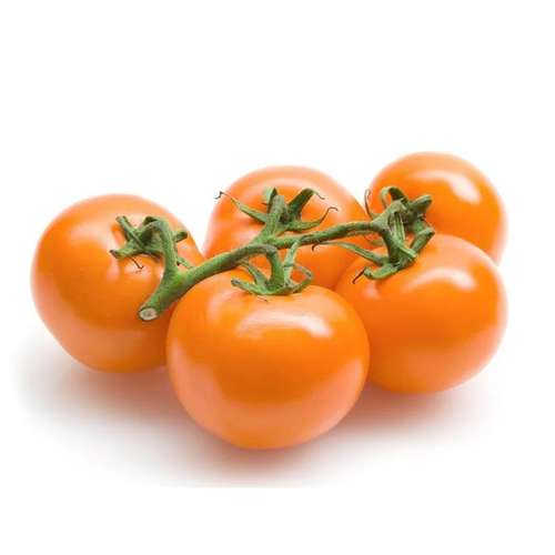 گوجه فرنگی نارنجی