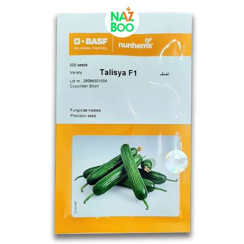 بذر خیار گلخانه ای تالیسیا