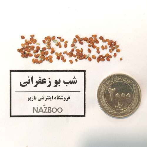 بذر عمده گل شب بو زعفرانی